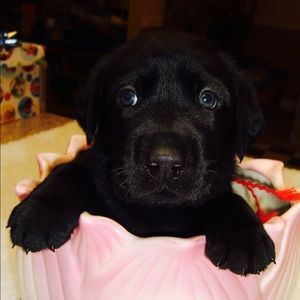 Meet your Posher, Julia